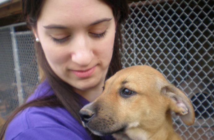 Pet obsession psychology image